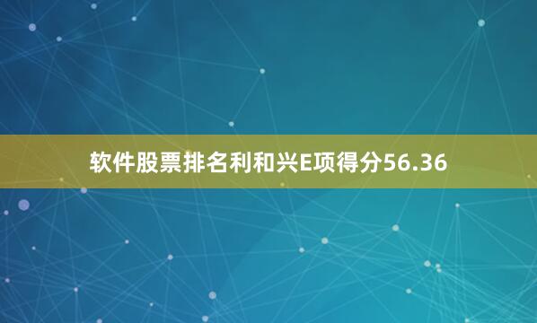 软件股票排名利和兴E项得分56.36