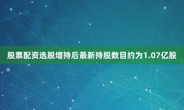 股票配资选股增持后最新持股数目约为1.07亿股