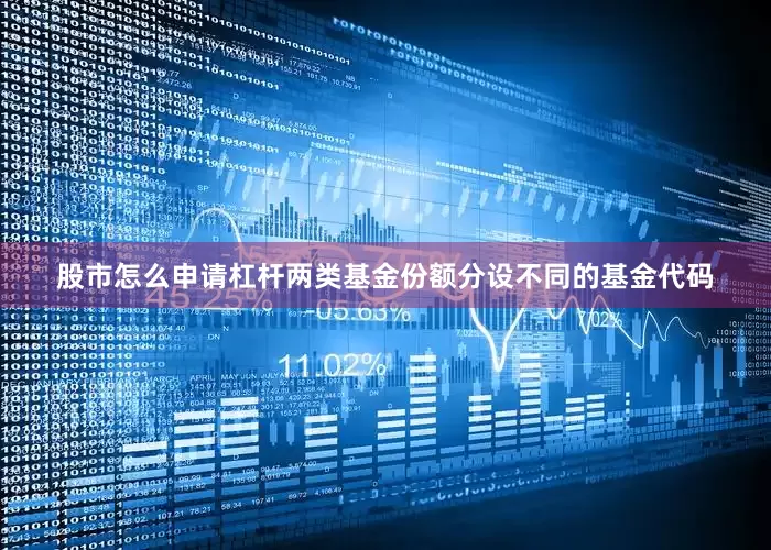 股市怎么申请杠杆两类基金份额分设不同的基金代码