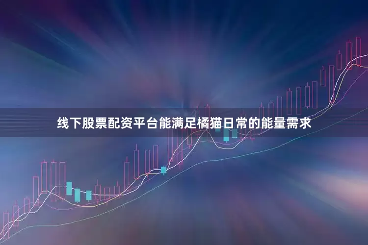 线下股票配资平台能满足橘猫日常的能量需求
