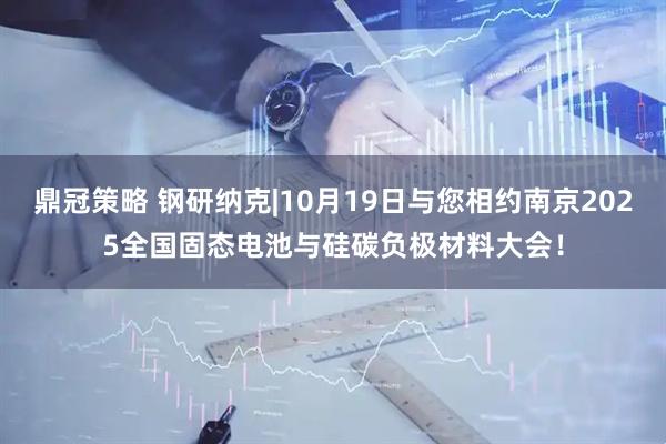 鼎冠策略 钢研纳克|10月19日与您相约南京2025全国固态电池与硅碳负极材料大会！