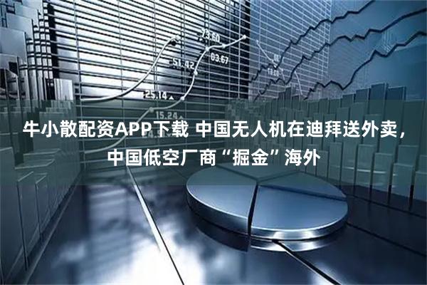牛小散配资APP下载 中国无人机在迪拜送外卖，中国低空厂商“掘金”海外
